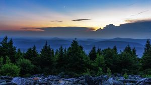 Превью обои ель, деревья, луна, камни, сумерки