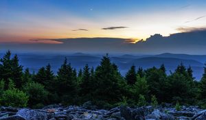 Превью обои ель, деревья, луна, камни, сумерки