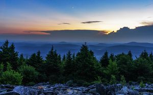 Превью обои ель, деревья, луна, камни, сумерки