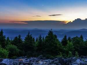 Превью обои ель, деревья, луна, камни, сумерки