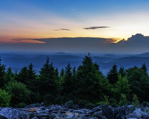 Превью обои ель, деревья, луна, камни, сумерки