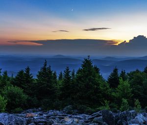 Превью обои ель, деревья, луна, камни, сумерки
