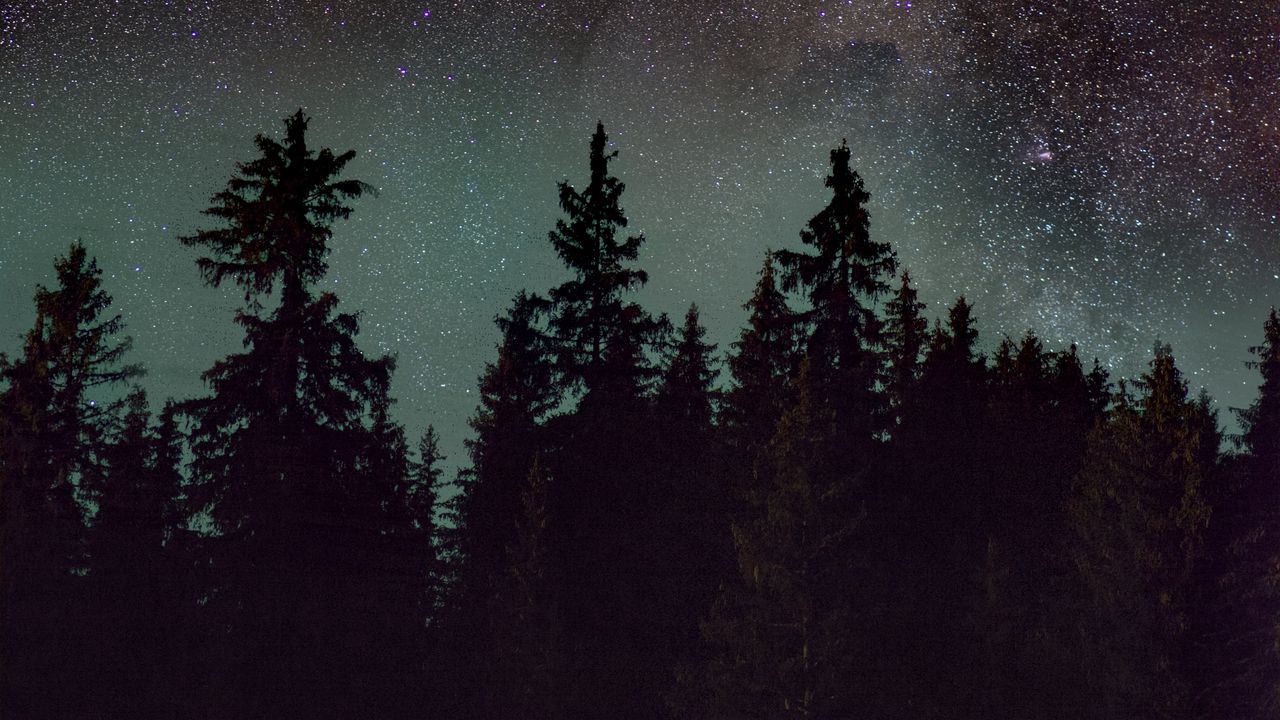 Обои ель, деревья, ночь, звездное небо, звезды, туманность