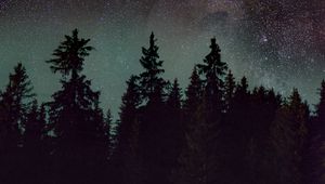 Превью обои ель, деревья, ночь, звездное небо, звезды, туманность