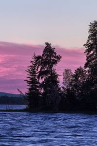Превью обои ель, деревья, озеро, небо, вода