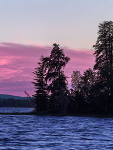 Превью обои ель, деревья, озеро, небо, вода