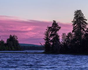 Превью обои ель, деревья, озеро, небо, вода