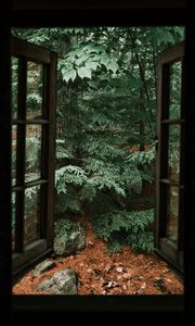 Превью обои ель, дерево, камни, облака, окно