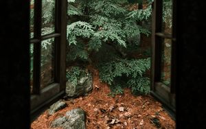 Превью обои ель, дерево, камни, облака, окно