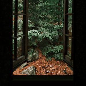 Превью обои ель, дерево, камни, облака, окно