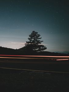 Превью обои ель, дерево, силуэт, звезды, ночь