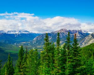 Превью обои ель, горы, облака, небо