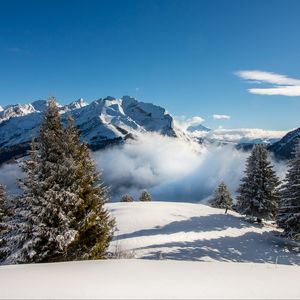 Превью обои ель, горы, снег, туман, снежный