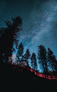Превью обои ель, лес, деревья, звездное небо, звезды