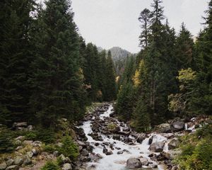 Превью обои ель, река, камни, поток, природа