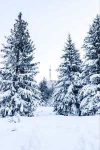 Превью обои ель, снег, деревья, вышка, зима, природа