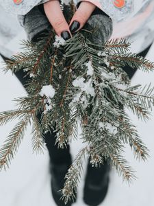 Превью обои ель, снег, ветки, руки