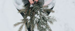 Превью обои ель, снег, ветки, руки