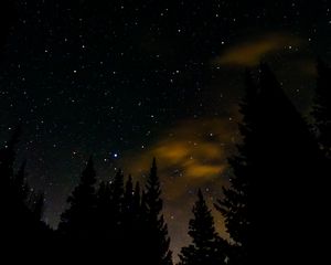 Превью обои ель, звезды, звездное небо, ночь