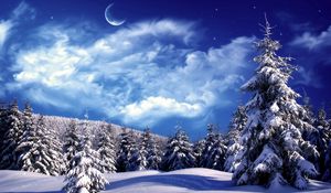 Превью обои ели, деревья, облака, снег, луна, небо, сугробы