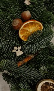 Превью обои елка, апельсины, дольки, орехи, украшения, новый год, рождество
