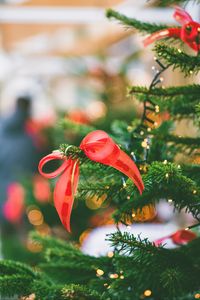 Превью обои елка, бант, гирлянды, украшения, новый год, рождество