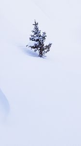 Превью обои елка, дерево, снег, зима, минимализм