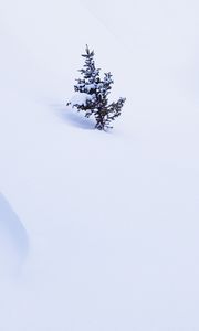 Превью обои елка, дерево, снег, зима, минимализм