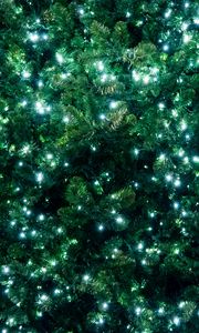 Превью обои елка, гирлянда, свечение, новый год, рождество, фон