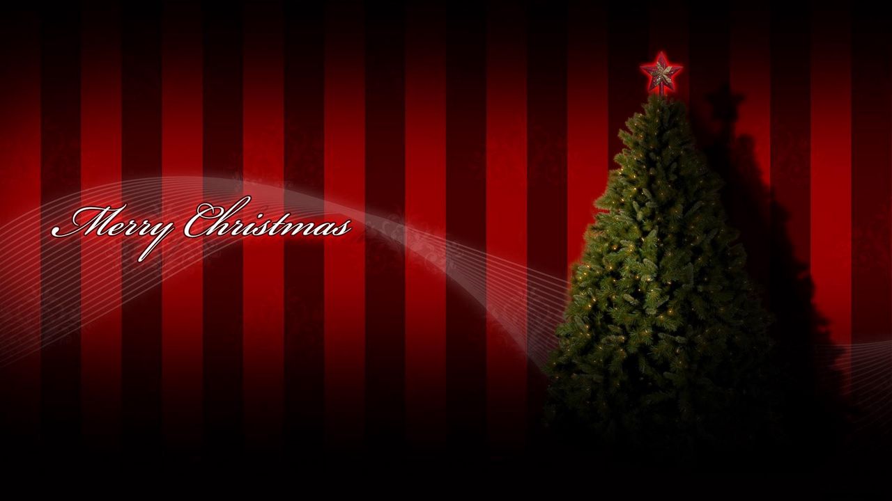 Обои елка, гирлянда, звезда, праздник, рождество, надпись, поздравление
