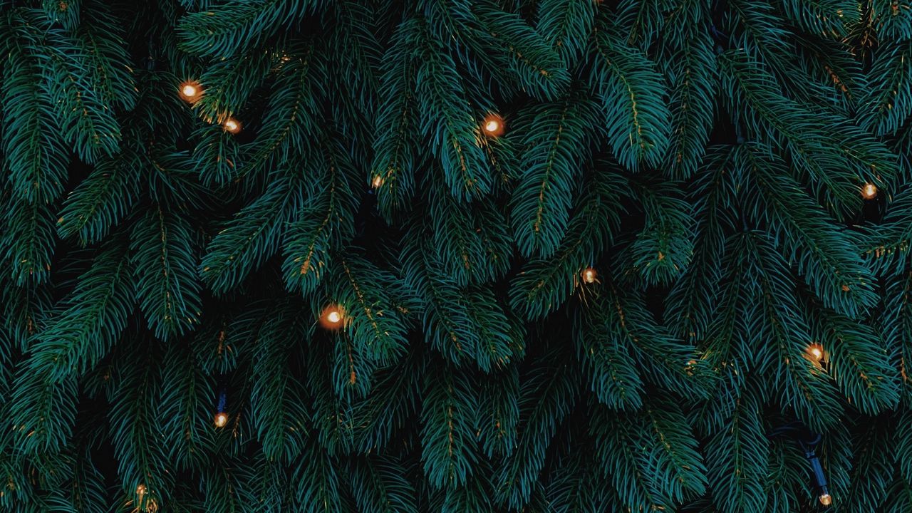 Обои елка, гирлянды, новый год, рождество, праздники