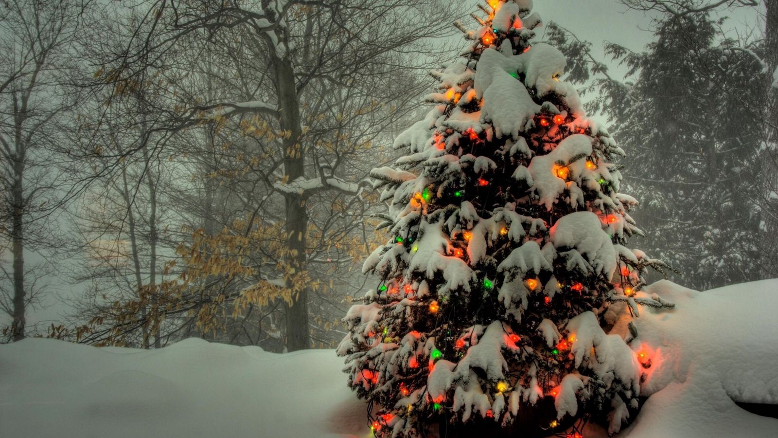 1600x900 Обои елка, гирлянды, новый год, рождество, деревья, снег, зима, праздник