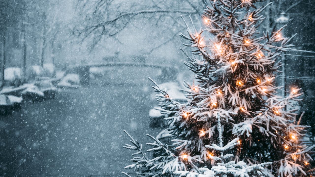 Обои елка, гирлянды, снег, зима, новый год