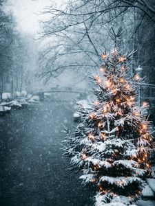 Превью обои елка, гирлянды, снег, зима, новый год