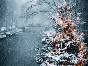 Превью обои елка, гирлянды, снег, зима, новый год