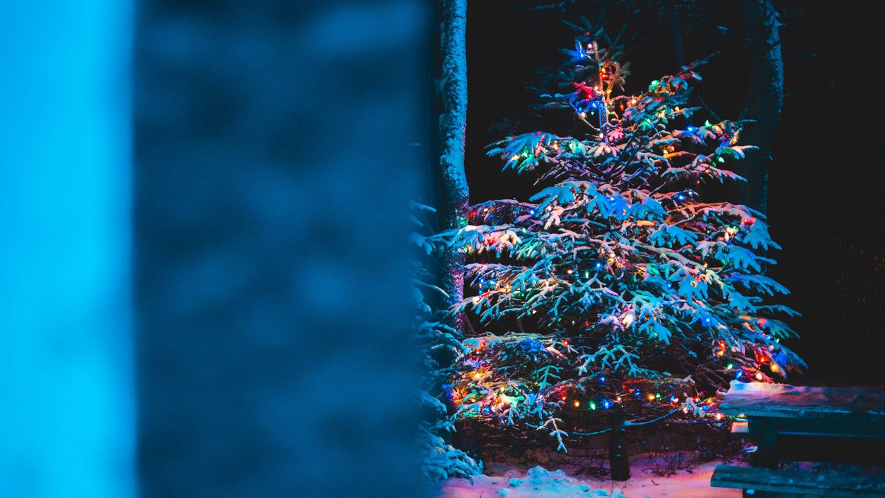 Обои елка, гирлянды, снег, новый год, рождество