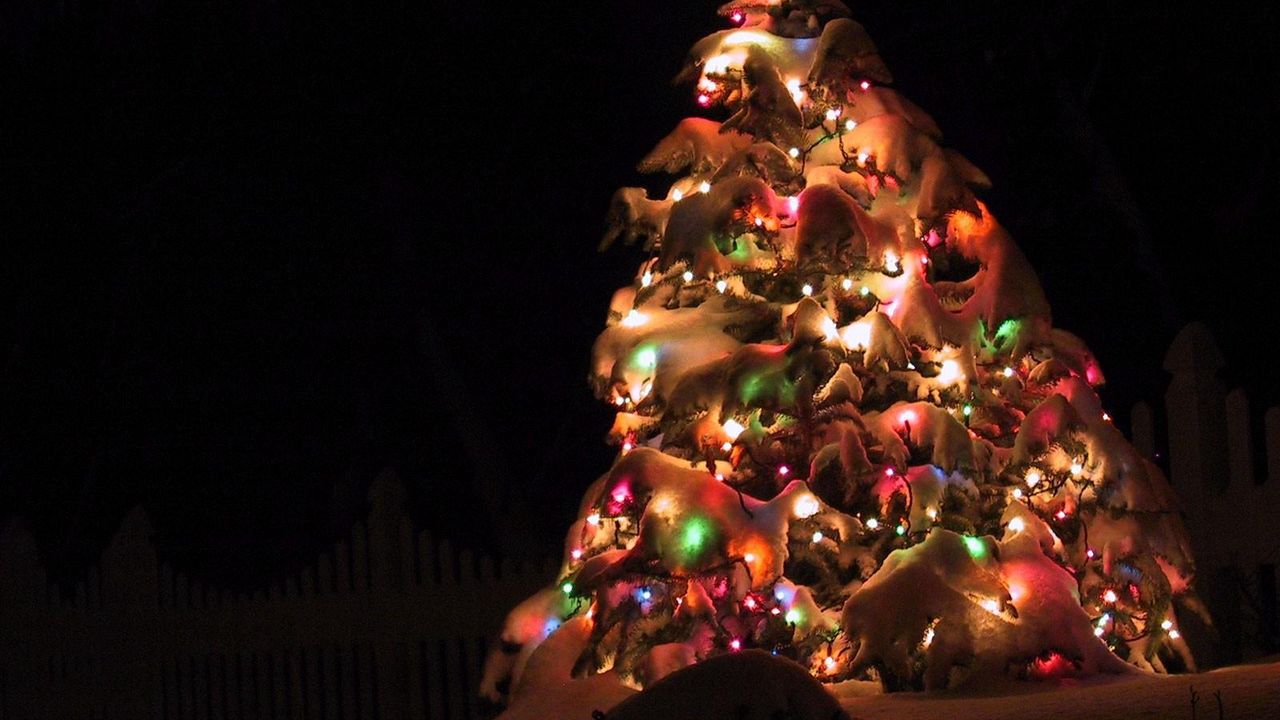 Обои елка, гирлянды, снег, улица, праздник, рождество, ночь