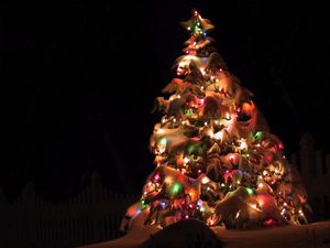 Превью обои елка, гирлянды, снег, улица, праздник, рождество, ночь