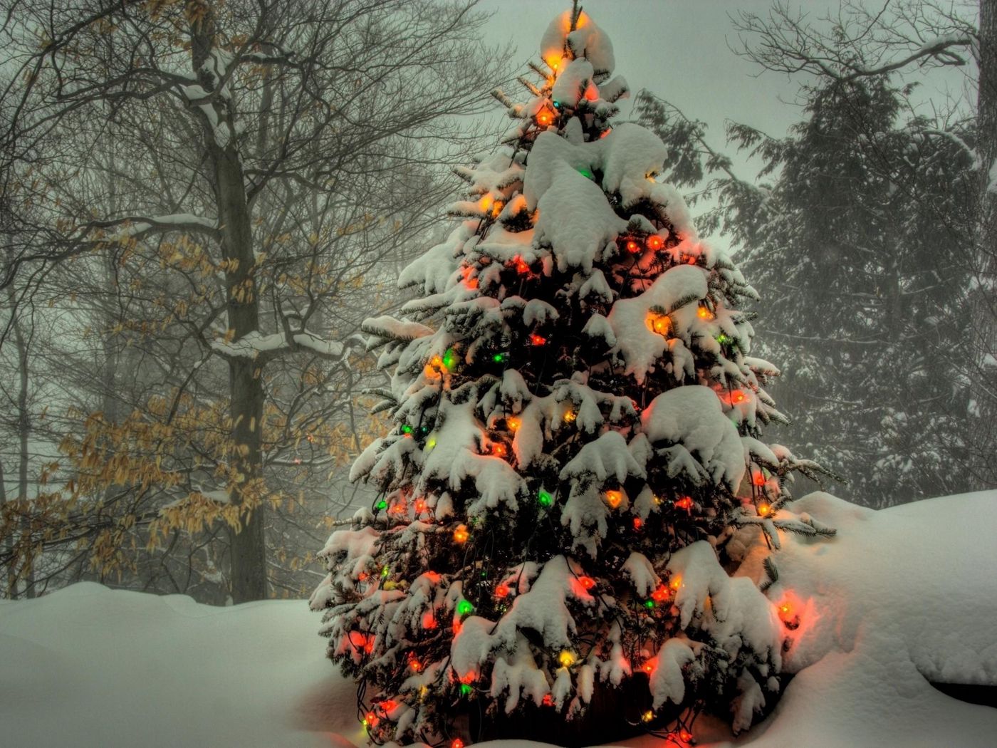 1400x1050 Обои елка, гирлянды, новый год, рождество, деревья, снег, зима, праздник