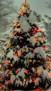 Превью обои елка, гирлянды, новый год, рождество, деревья, снег, зима, праздник