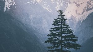 Превью обои елка, горы, снег, природа