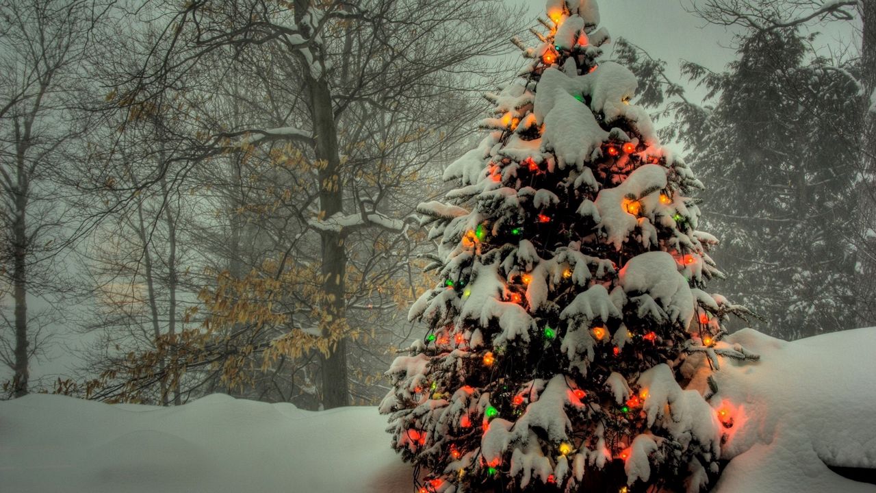 Обои елка, игрушки, свет, снег
