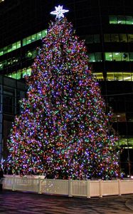 Превью обои елка, рождество, гирлянды, ограждение, улица, праздник