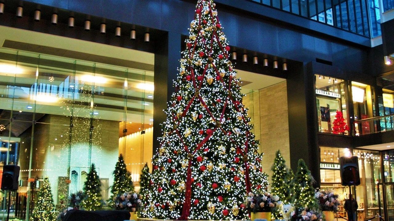 Обои елка, рождество, праздник, гирлянды, улица