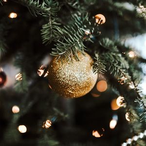 Превью обои елка, шар, украшение, золотой, новый год, рождество