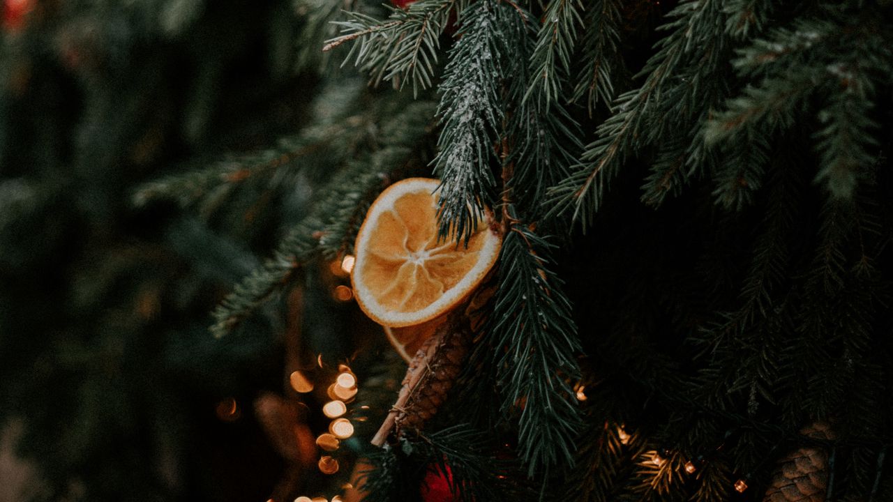 Обои елка, шишки, апельсин, украшения, гирлянды, новый год, рождество