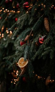 Превью обои елка, шишки, апельсин, украшения, гирлянды, новый год, рождество