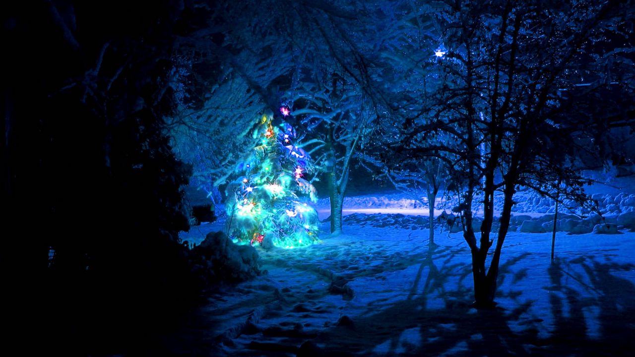 Обои елка, снег, лес, новый год, рождество, гирлянды