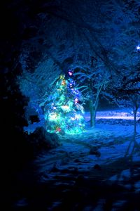 Превью обои елка, снег, лес, новый год, рождество, гирлянды