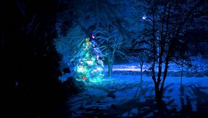 Превью обои елка, снег, лес, новый год, рождество, гирлянды